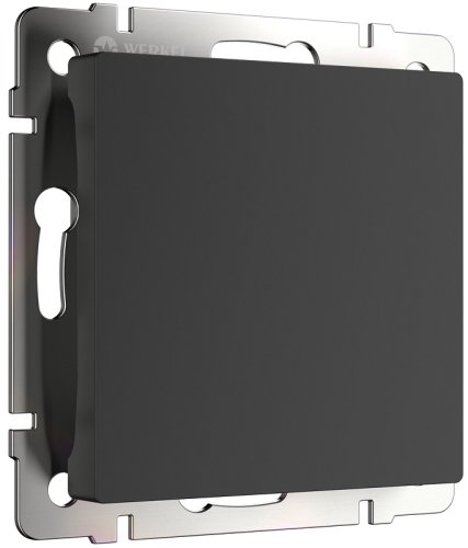 Заглушка без рамки Werkel черный матовый фото Заглушка без рамки Werkel черный матовый картинка